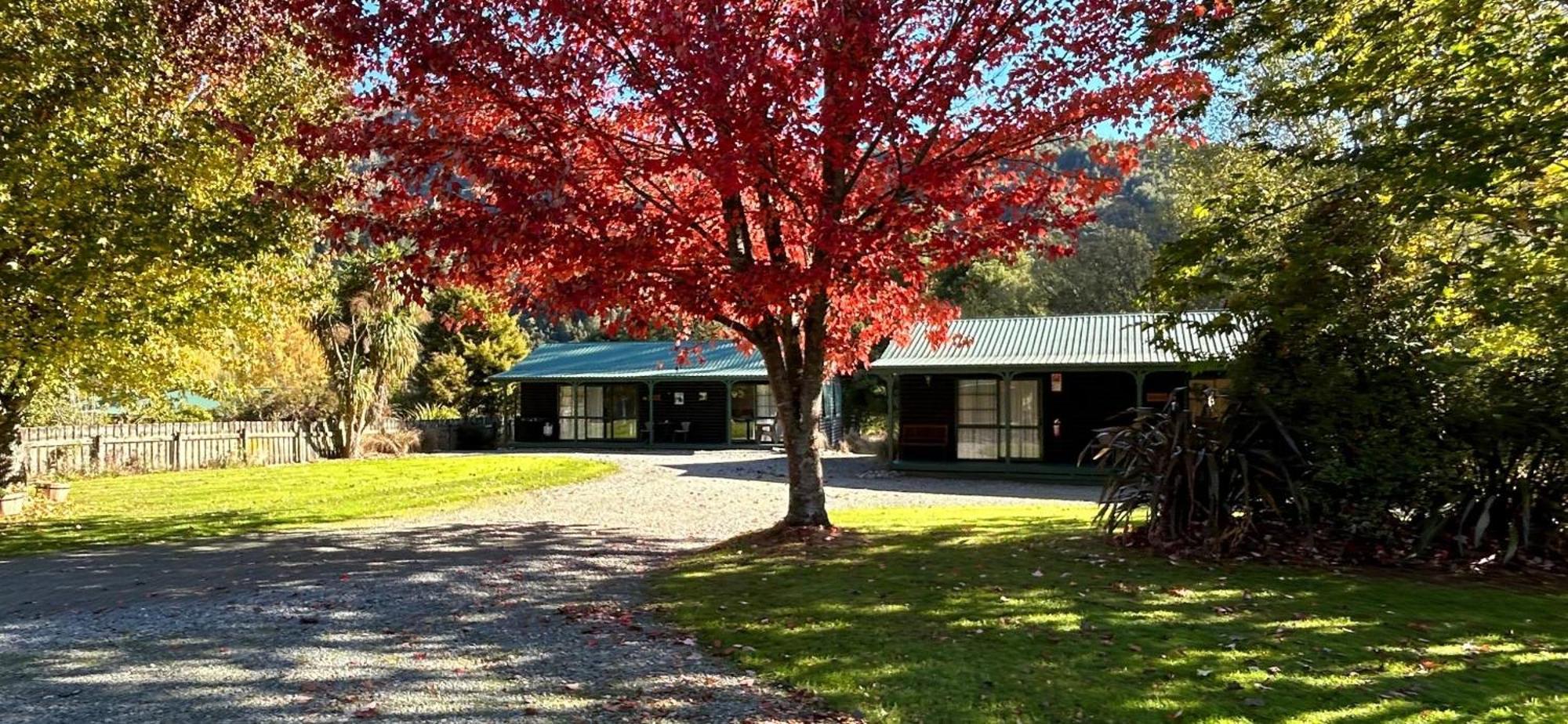 Kiwi Park Motels Мерчісон Екстер'єр фото